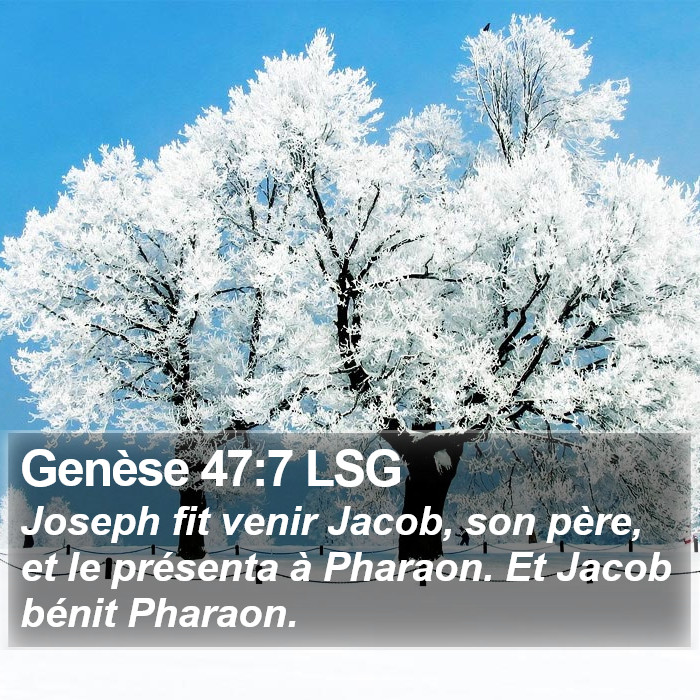 Genèse 47:7 LSG Bible Study
