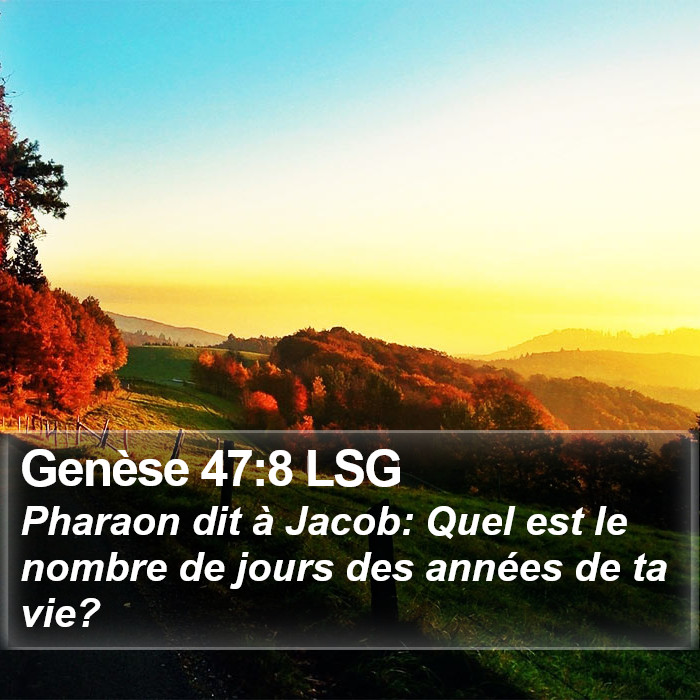 Genèse 47:8 LSG Bible Study
