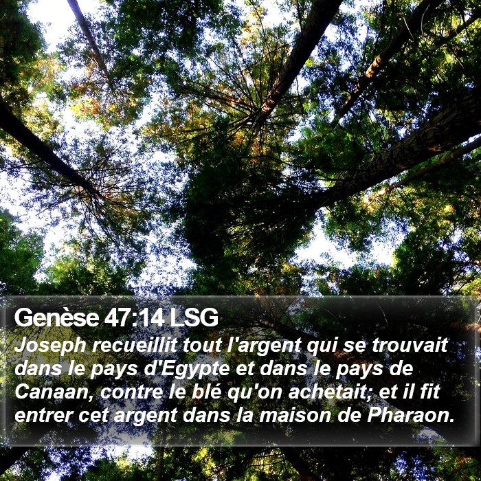 Genèse 47:14 LSG Bible Study