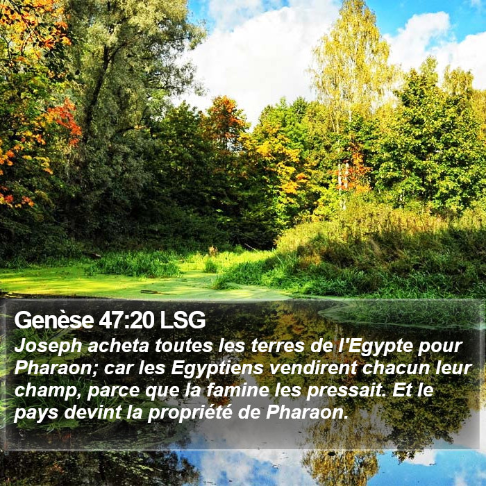 Genèse 47:20 LSG Bible Study