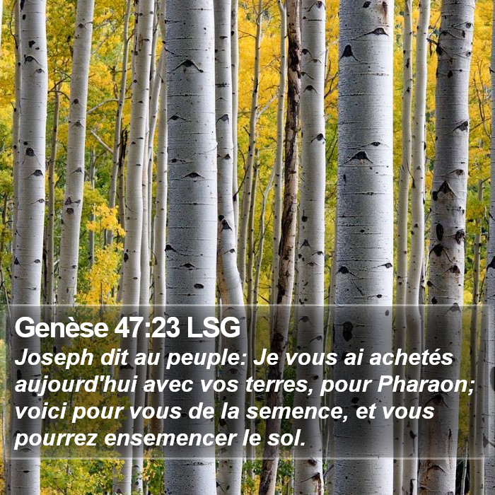 Genèse 47:23 LSG Bible Study