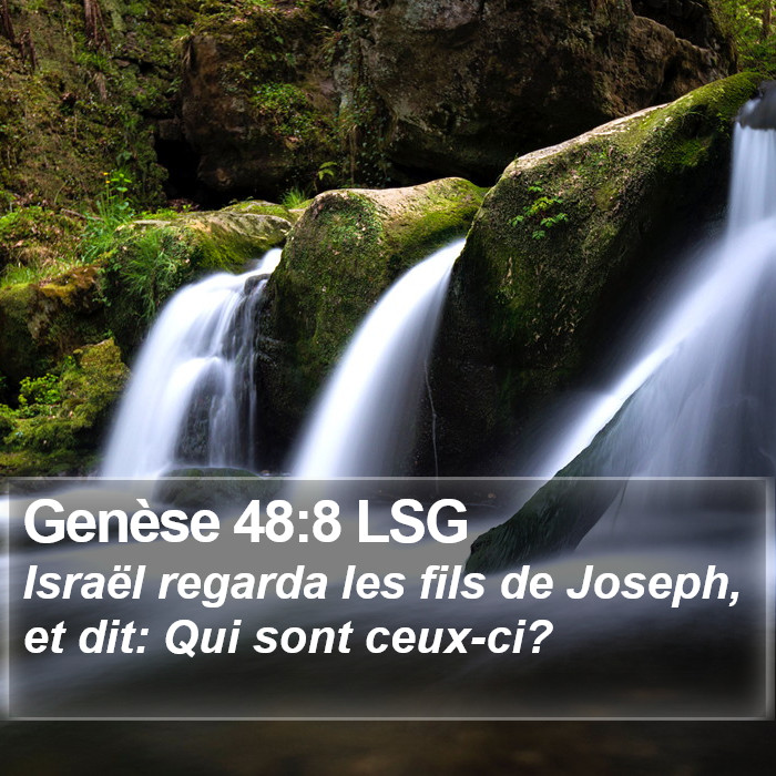 Genèse 48:8 LSG Bible Study