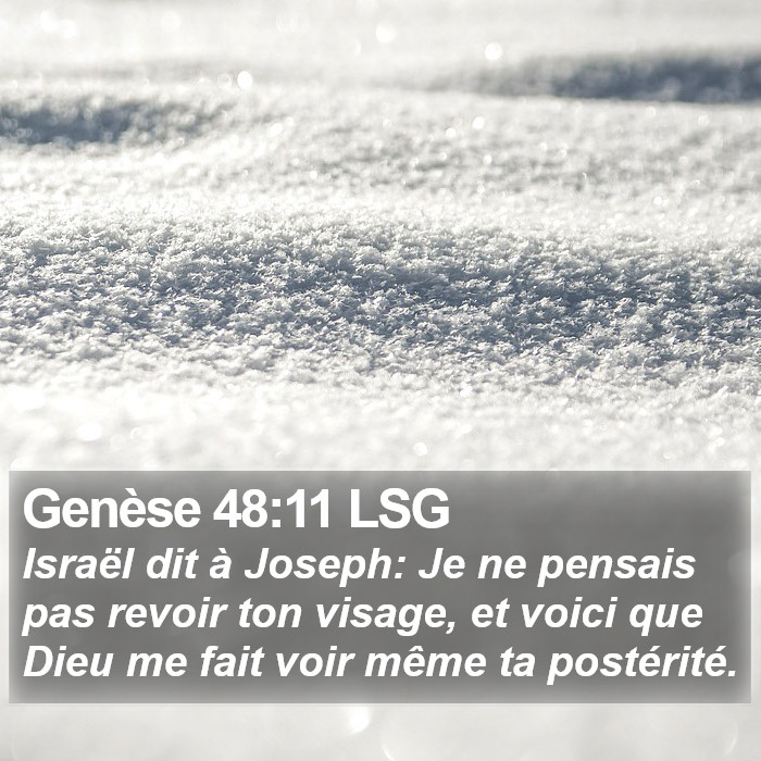 Genèse 48:11 LSG Bible Study