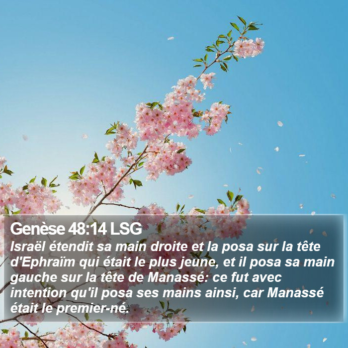 Genèse 48:14 LSG Bible Study