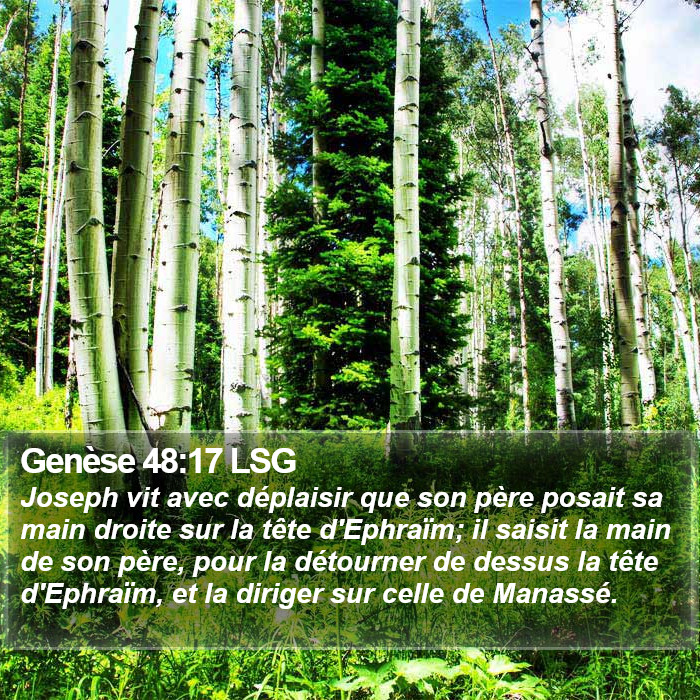 Genèse 48:17 LSG Bible Study