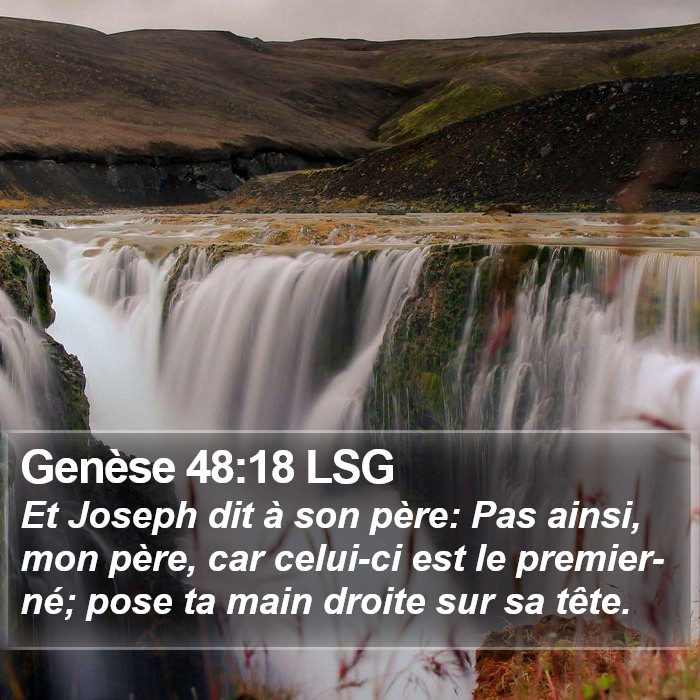 Genèse 48:18 LSG Bible Study