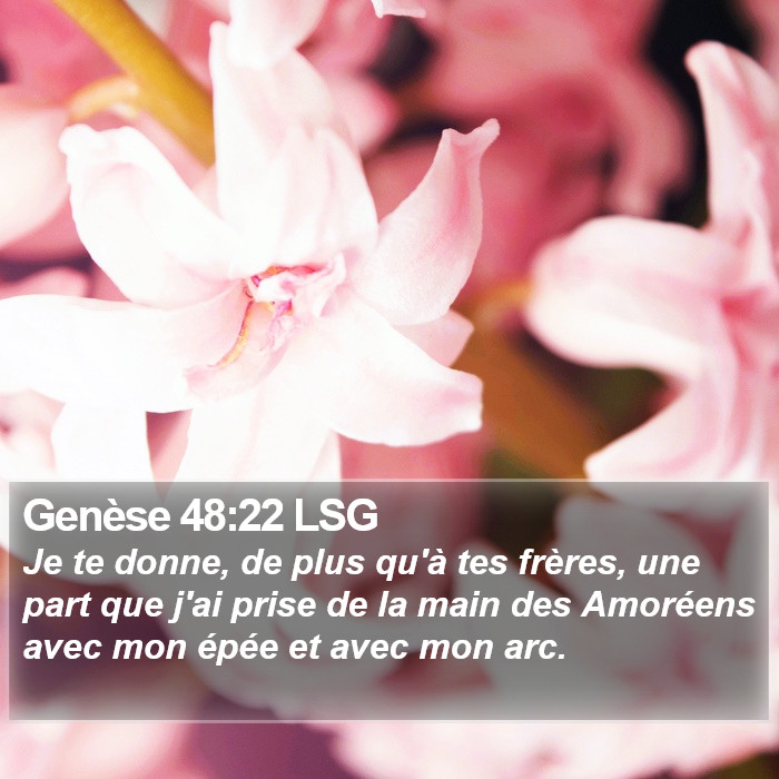 Genèse 48:22 LSG Bible Study