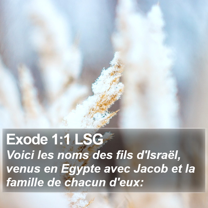 Exode 1:1 LSG Bible Study