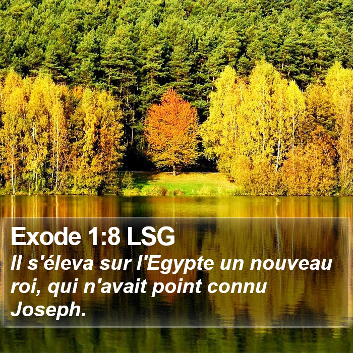 Exode 1:8 LSG Bible Study