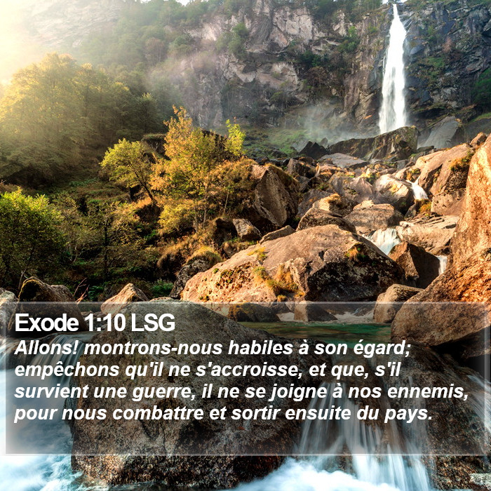 Exode 1:10 LSG Bible Study