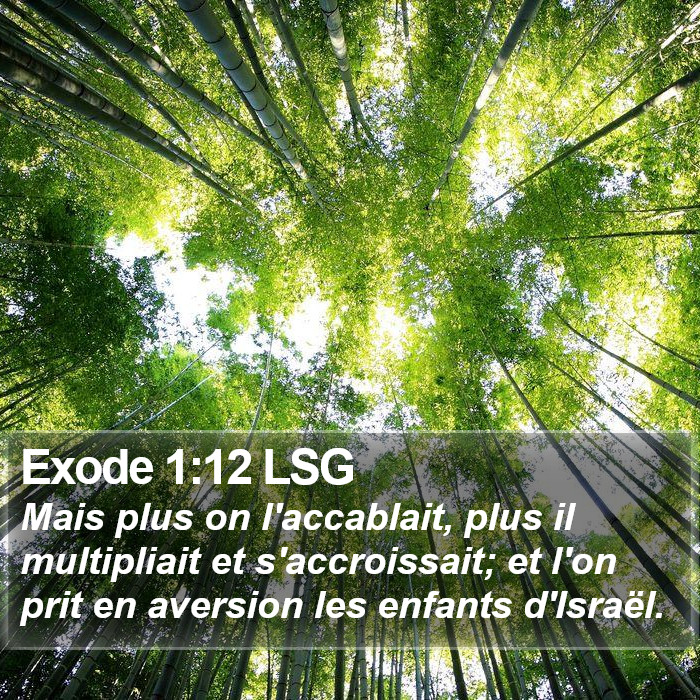 Exode 1:12 LSG Bible Study