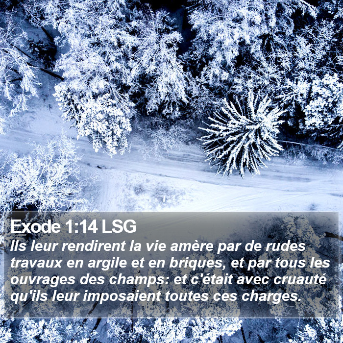 Exode 1:14 LSG Bible Study