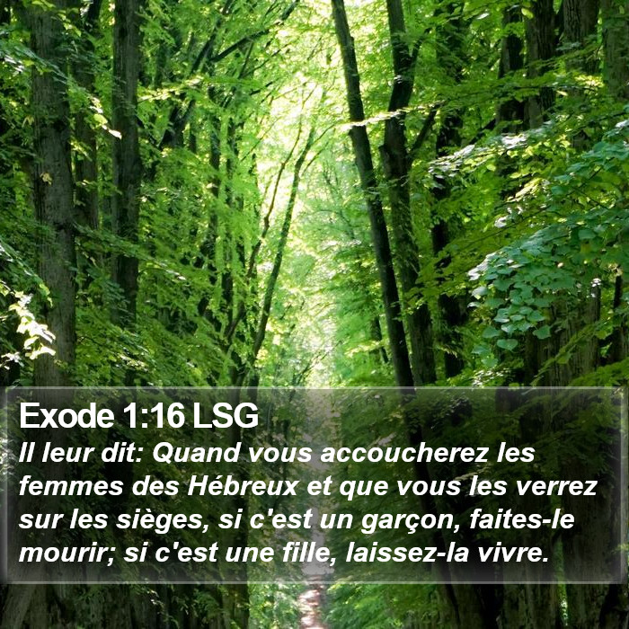 Exode 1:16 LSG Bible Study