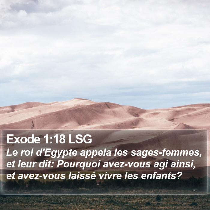 Exode 1:18 LSG Bible Study