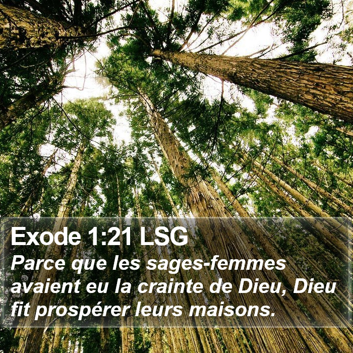 Exode 1:21 LSG Bible Study