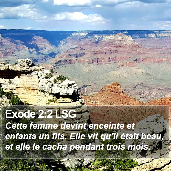 Exode 2:2 LSG Bible Study