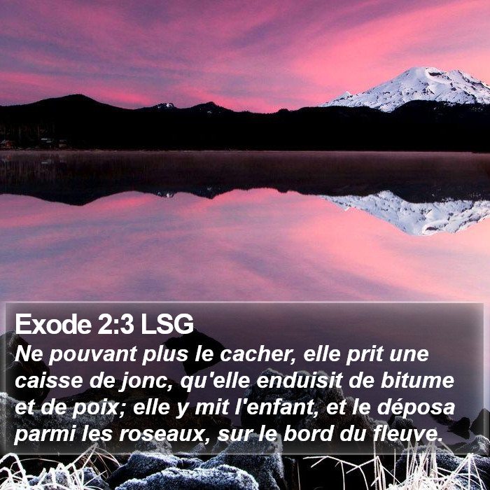Exode 2:3 LSG Bible Study