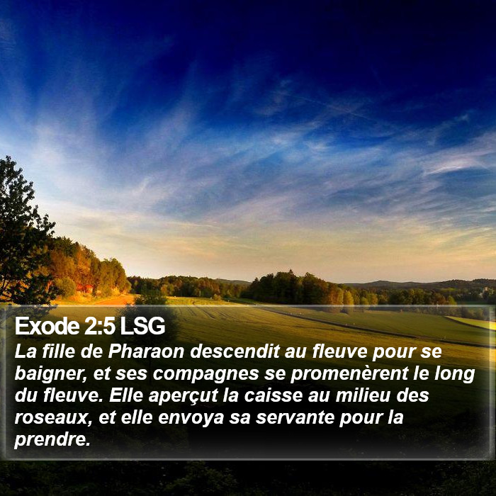 Exode 2:5 LSG Bible Study