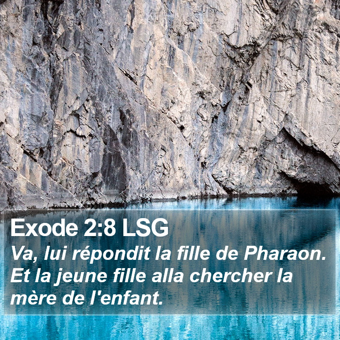 Exode 2:8 LSG Bible Study