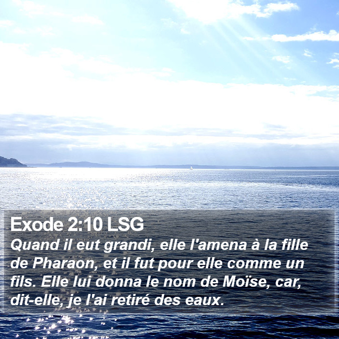 Exode 2:10 LSG Bible Study