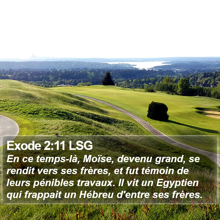 Exode 2:11 LSG Bible Study