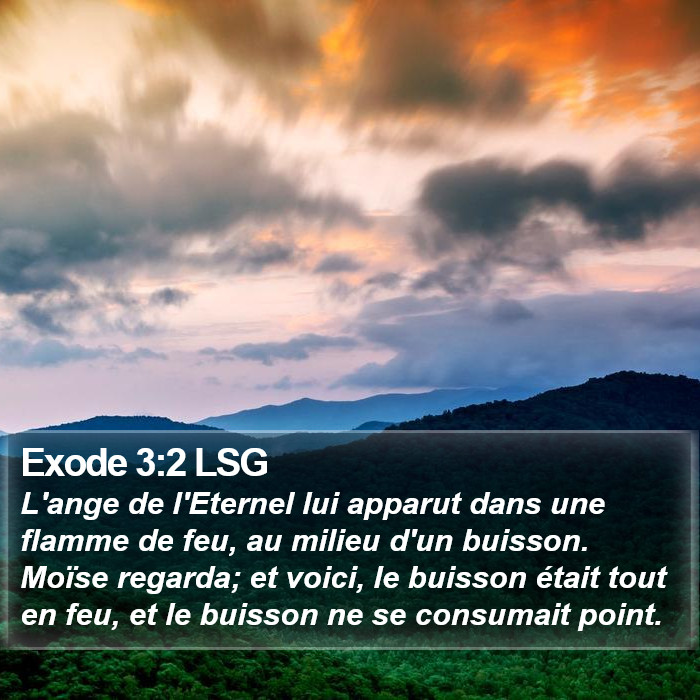 Exode 3:2 LSG Bible Study