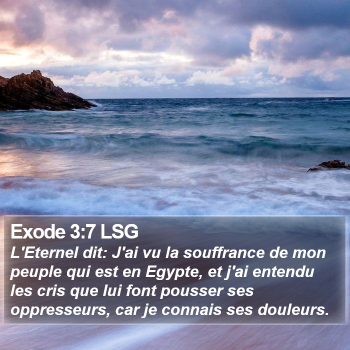 Exode 3:7 LSG Bible Study