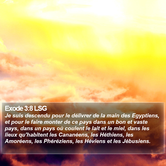 Exode 3:8 LSG Bible Study