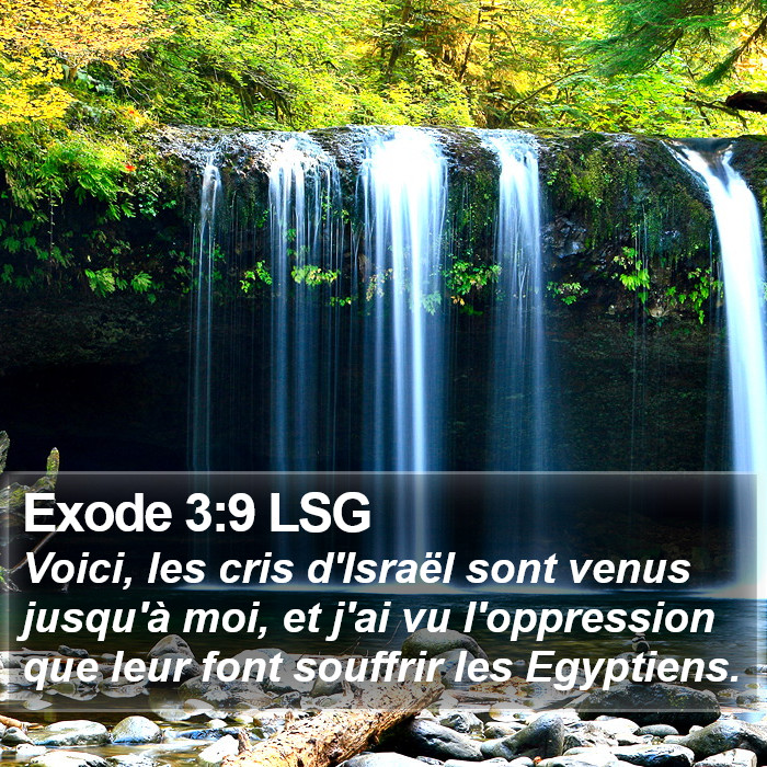 Exode 3:9 LSG Bible Study