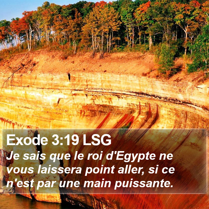 Exode 3:19 LSG Bible Study