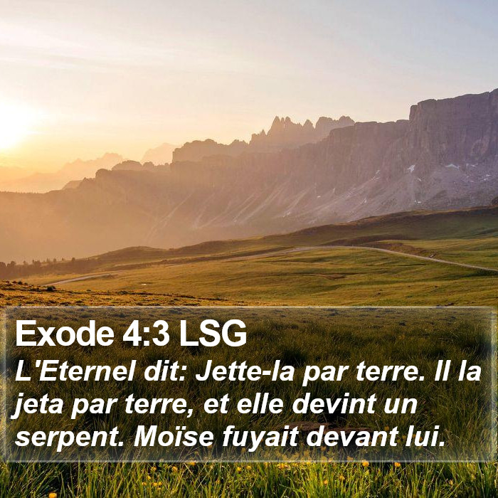 Exode 4:3 LSG Bible Study