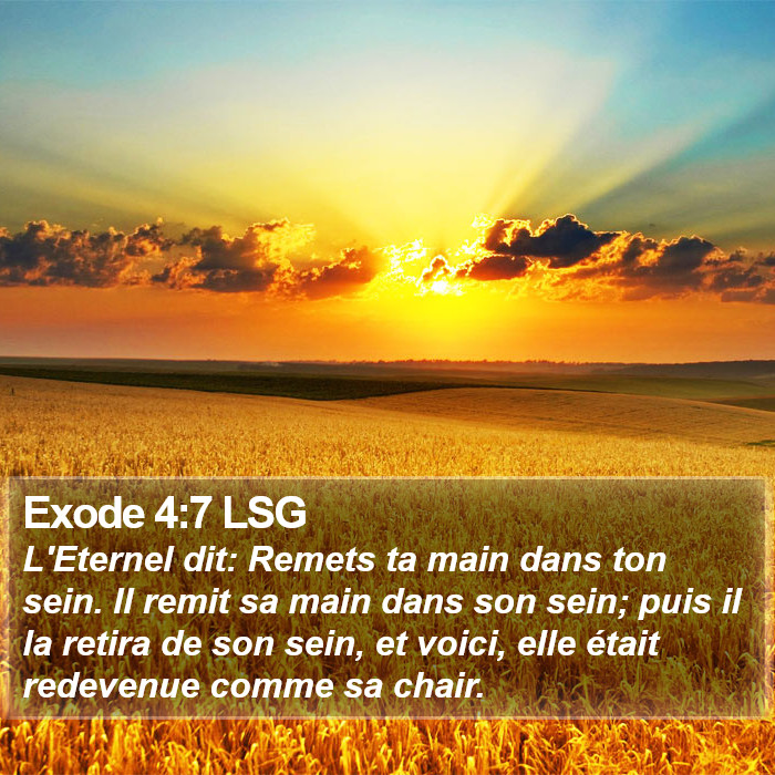 Exode 4:7 LSG Bible Study