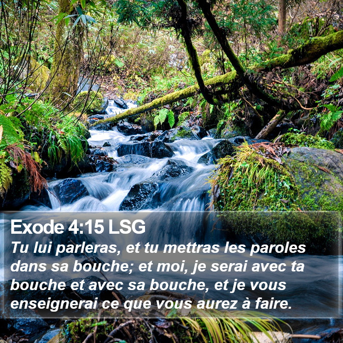 Exode 4:15 LSG Bible Study
