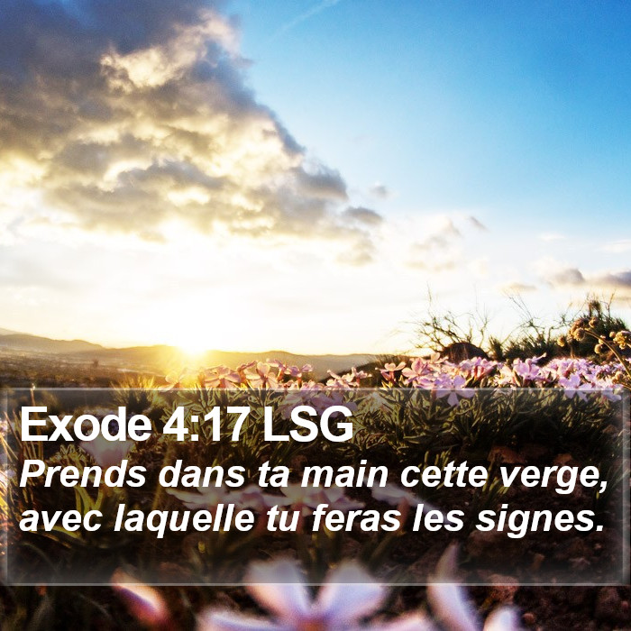Exode 4:17 LSG Bible Study