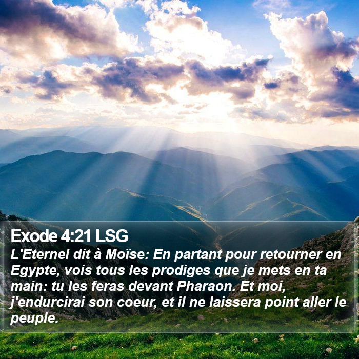 Exode 4:21 LSG Bible Study