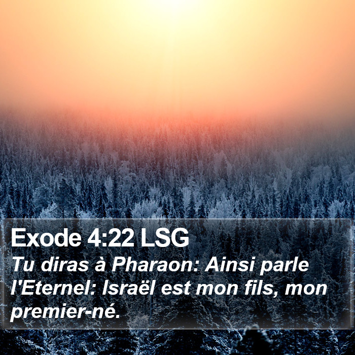 Exode 4:22 LSG Bible Study