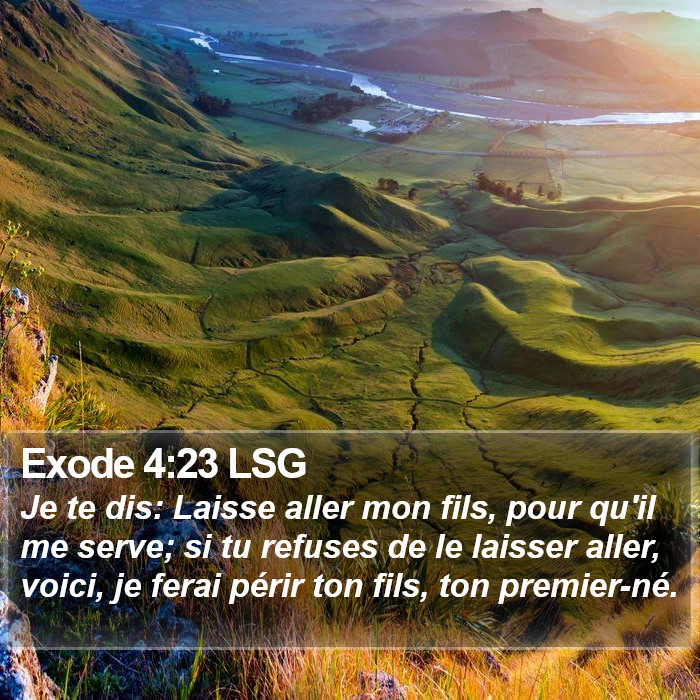 Exode 4:23 LSG Bible Study