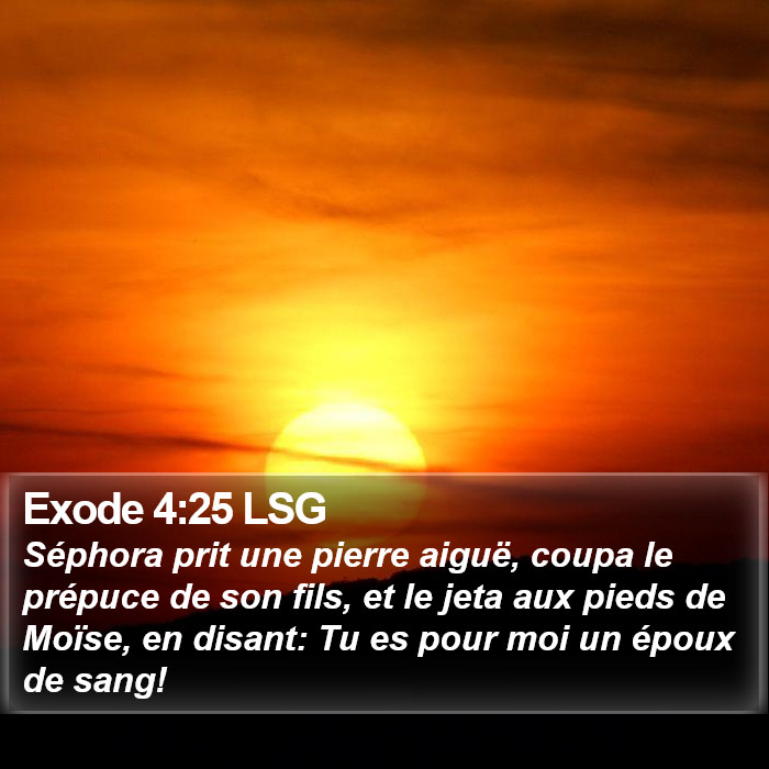 Exode 4:25 LSG Bible Study