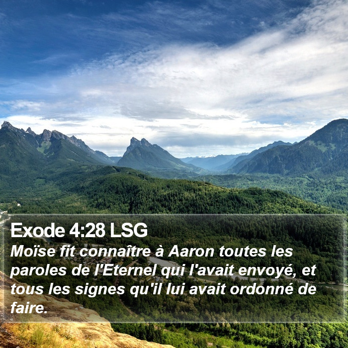 Exode 4:28 LSG Bible Study
