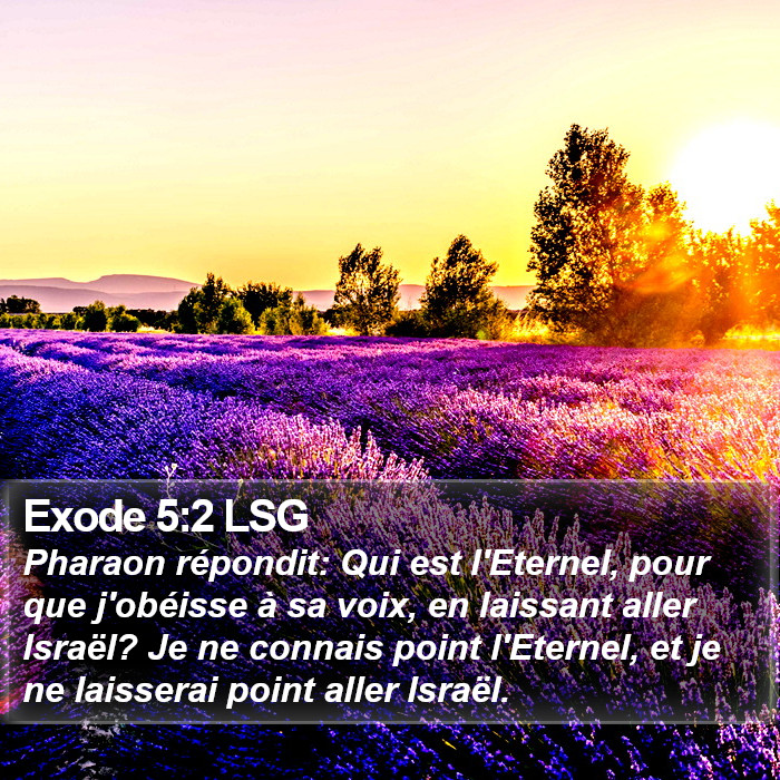 Exode 5:2 LSG Bible Study