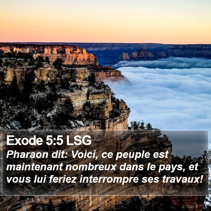 Exode 5:5 LSG Bible Study