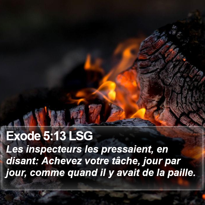 Exode 5:13 LSG Bible Study