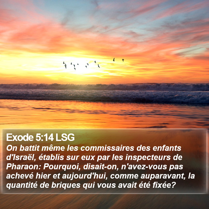 Exode 5:14 LSG Bible Study
