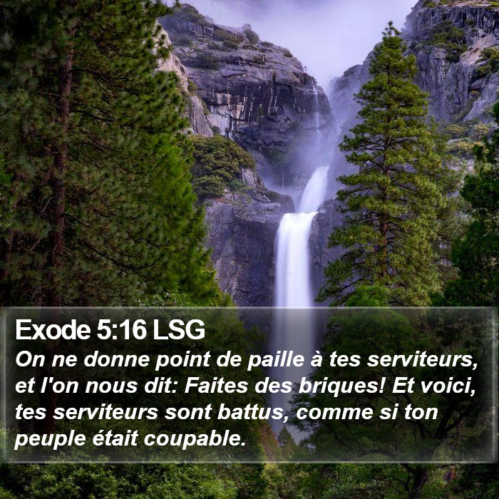 Exode 5:16 LSG Bible Study