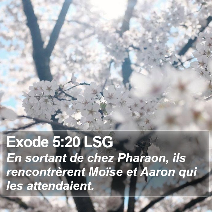 Exode 5:20 LSG Bible Study