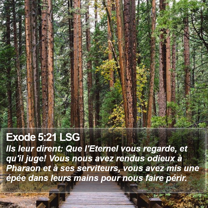 Exode 5:21 LSG Bible Study