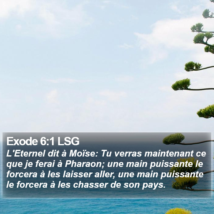 Exode 6:1 LSG Bible Study