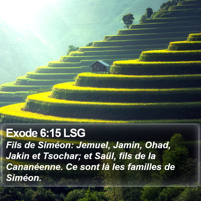 Exode 6:15 LSG Bible Study