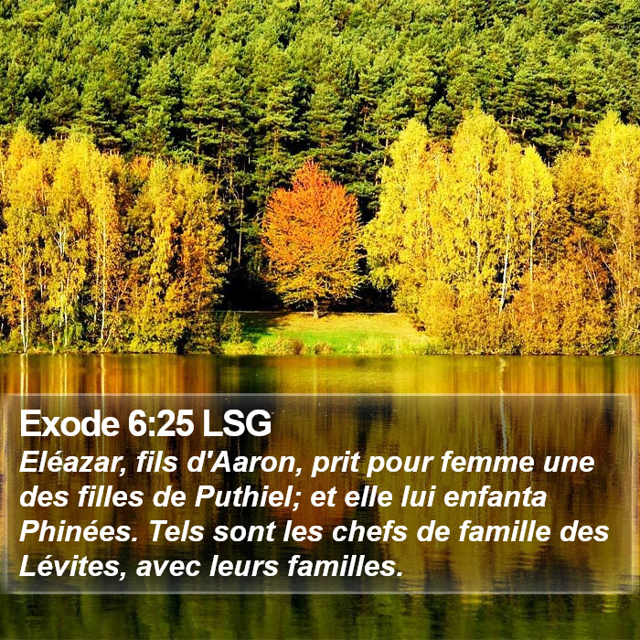 Exode 6:25 LSG Bible Study