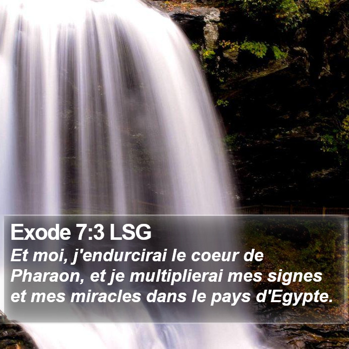Exode 7:3 LSG Bible Study